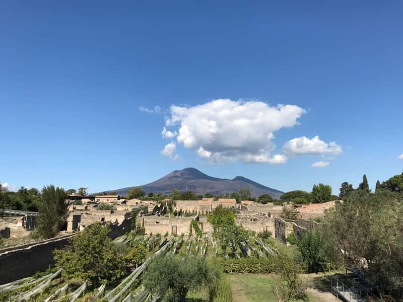 Pompeii: Exclusive Tour With Archaeologist and Entry Tickets - Key Points
