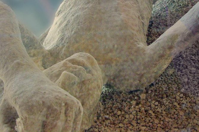 Pompeii Experience Half Day - Skip the Line - Accessibility Information