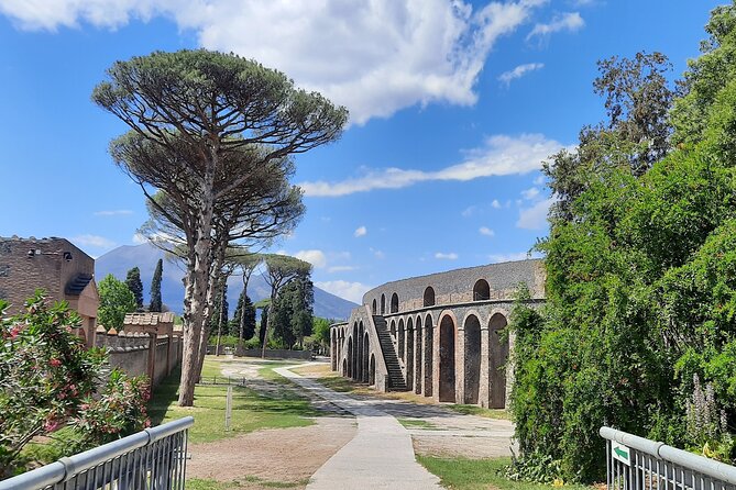 Pompeii for Kids - Private Tour - Exploring Pompeiis Ruins