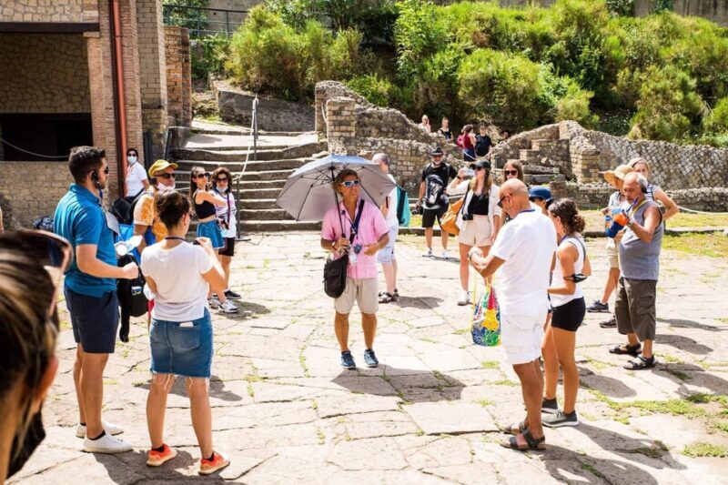 Pompeii: Group Guided Tour With Optional Tickets - Since Your Asked