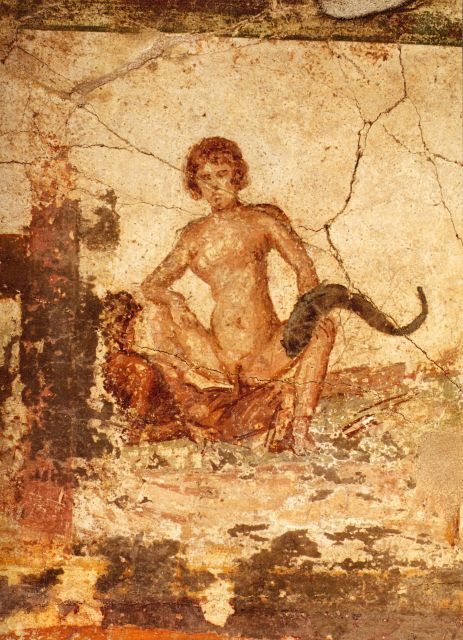 Pompeii: Group Tour With Guide - Group Size and Language