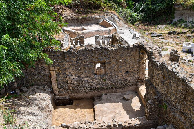 Pompeii Guided and Trip to Two Wineries With Lunch - Inclusions