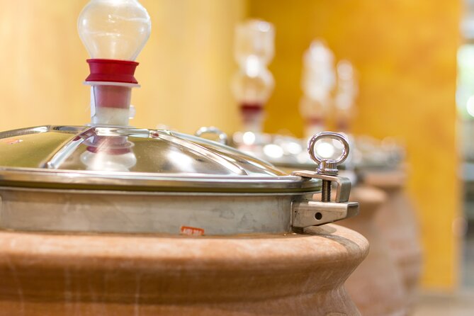 Pompeii Guided and Trip to Two Wineries With Lunch - Pompeii Guided Tour