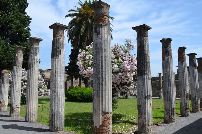 Pompeii: Guided Small Group Tour Max 6 People With Private Option - Expert Guide Insights