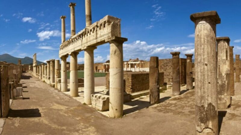 Pompeii Guided Tour by a Local Guide - Accessibility Options