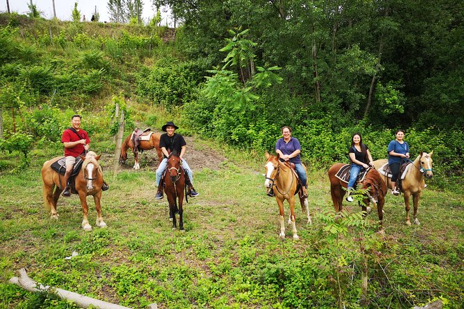 Pompeii Guided Tour & Horse Riding on Vesuvius With Wine Tasting - Roundtrip Transportation From Naples