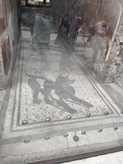 Pompeii: Guided Tour & Skip the Line Ticket - Participant Information