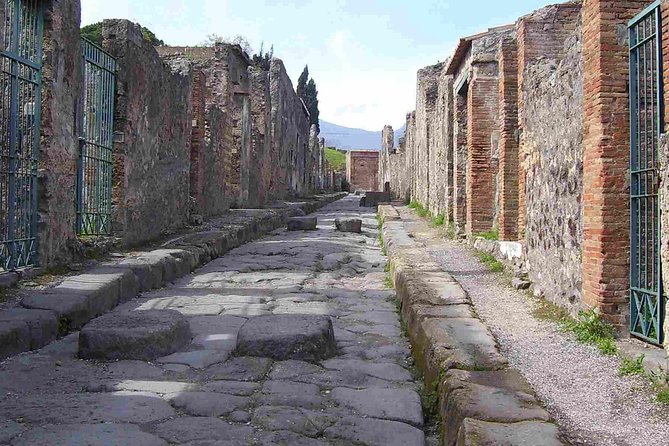 Pompeii Guided Walking Tour With Included Entrance at Pompeii Ruins - Visitor Reviews and Ratings