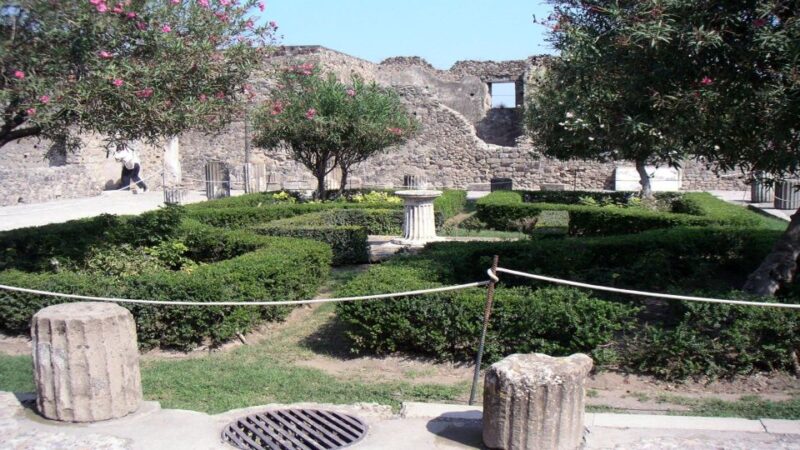 Pompeii Half-Day Coach Tour From Sorrento - Highlights of Pompeii Ruins