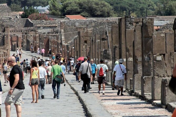 Pompeii Half Day From Naples - Inclusions