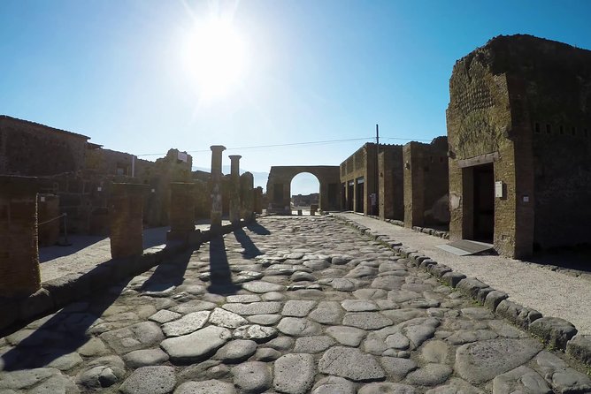 Pompeii, Herculaneum and Local Wine Tour From SORRENTO - Inclusions
