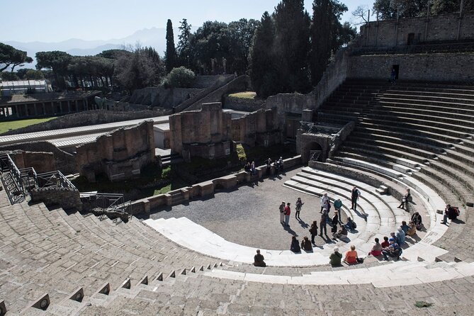 Pompeii, Herculaneum and Naples From Sorrento - Tour Details
