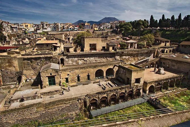 Pompeii, Herculaneum and Naples From the Amalfi Coast - Inclusions