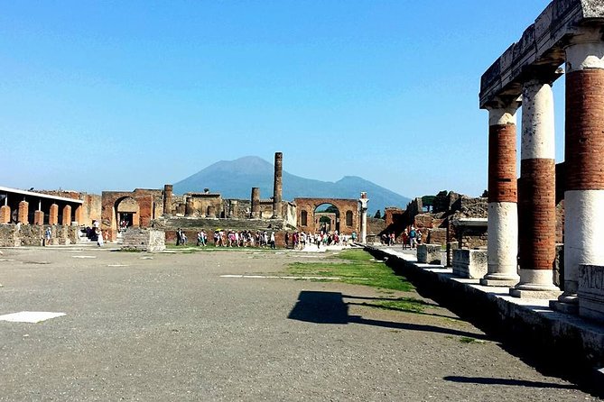 Pompeii, Herculaneum and Naples From the Amalfi Coast - Accessibility and Requirements