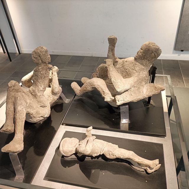 Pompeii Herculaneum and Oplontis With the Guide From Naples - Itinerary and Highlights
