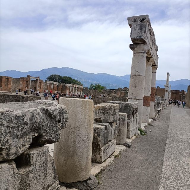 Pompeii Herculaneum and Oplontis With the Guide From Naples - Private Group Experience