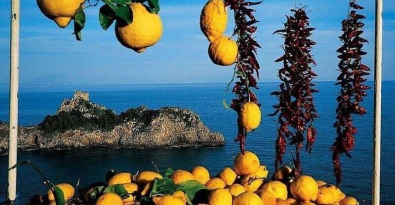 Pompeii, Herculaneum and Sorrento Private Day Tour From Rome - Included Services