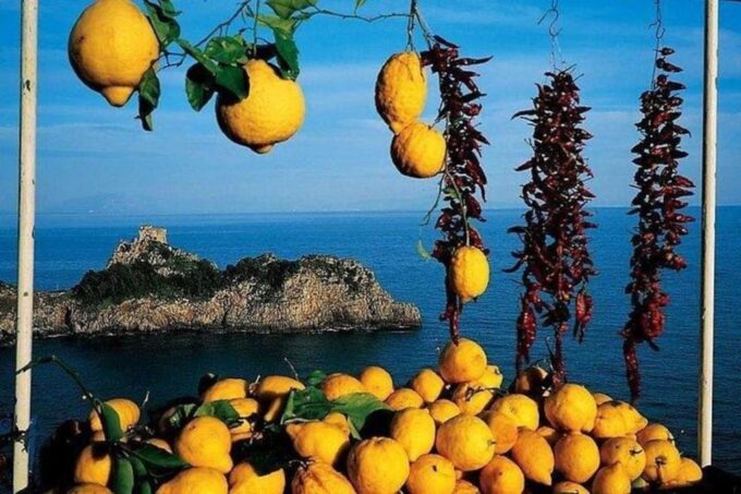 Pompeii, Herculaneum and Sorrento Private Day Tour From Rome - Pricing and Duration