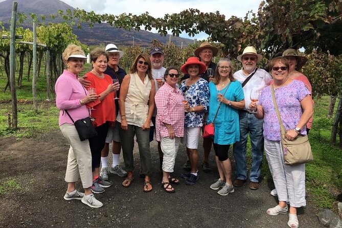 Pompeii, Herculaneum and Wine Experience on Mt Vesuvius With an Archaeologist - Pickup and Meeting Details
