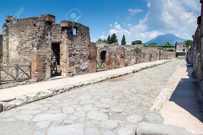 Pompeii & Herculaneum Archaeological Park Tour - Professional Tour Guide