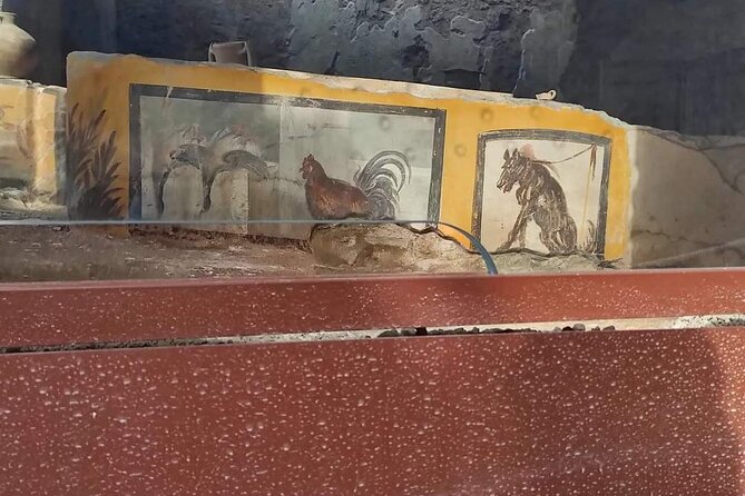 Pompeii Herculaneum - Inclusions and Pickup Information