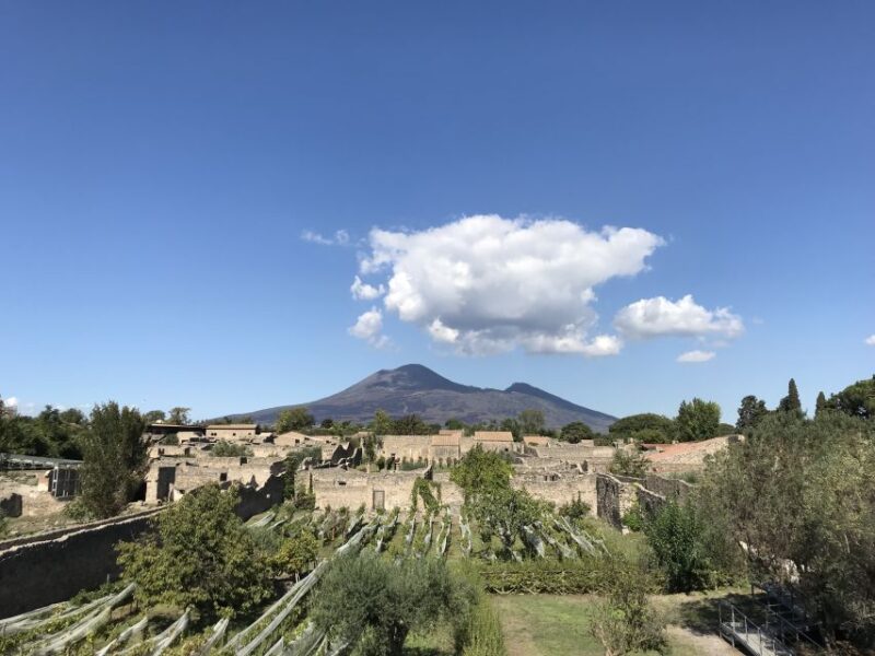 Pompeii & Herculaneum Private Skip-The-Line Tour With Ticket - Itinerary
