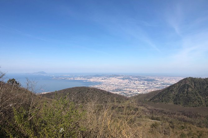 Pompeii-Herculaneum-Vesuvius Tour From Sorrento With Licensed Guide Included - Mount Vesuvius