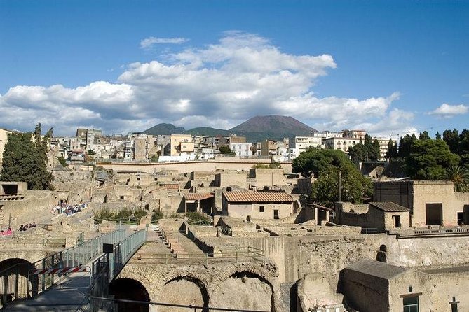 Pompeii-Herculaneum-Vesuvius Tour From Sorrento With Licensed Guide Included - Accessibility and Requirements