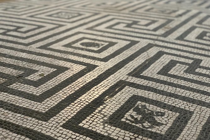 Pompeii & Herculaneum With Driver and Expert Guide - Accessibility