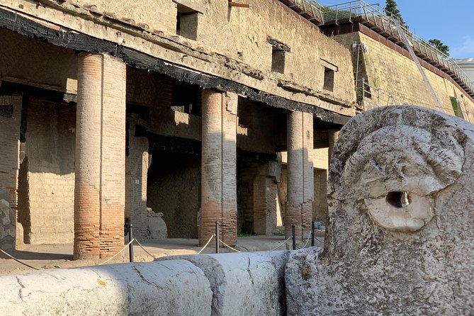 Pompeii & Herculaneum With Driver and Expert Guide - Pricing and Cancellation