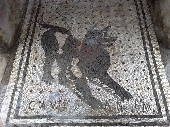 Pompeii Positano and Sorrento Shared Excursion With Pompeii Skip the Line Entry - Pricing and Cancellation