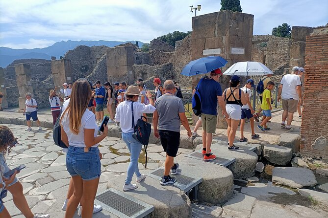 Pompeii & Positano Day Trip From Rome With Hotel Pick up - Accessibility and Requirements