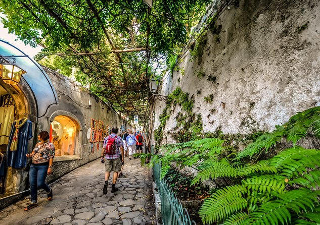 Pompeii, Positano & Sorrento Private Shore Excursion - Pricing and Cancellation