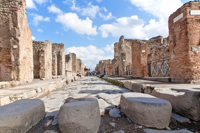 Pompeii, Positano,Sorrento With Guide, Tickets and Lunch All Included - Inclusions