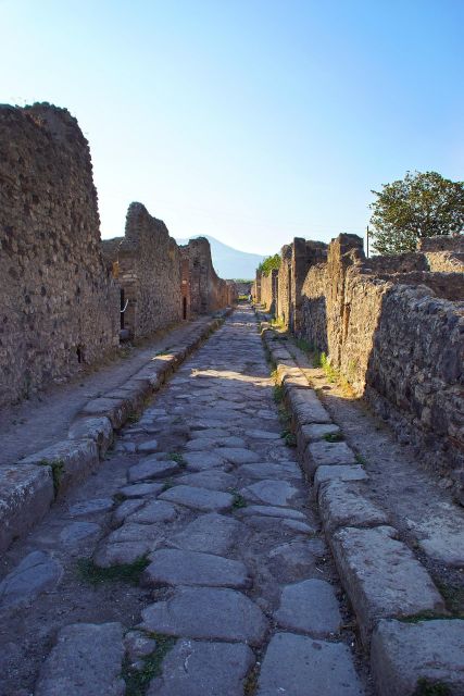 Pompeii Private 5 Hours Tour From Sorrento - Booking Information