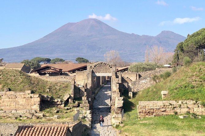 Pompeii Private Guided Tour Skip the Line - Meeting Point and Duration