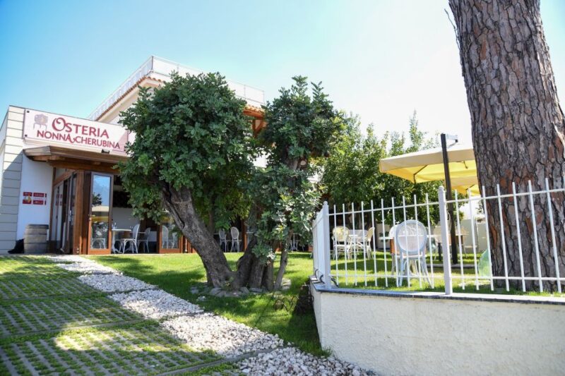 Pompeii: Private Guided Tour With Lunch - Dining in a Tranquil Lemon Grove