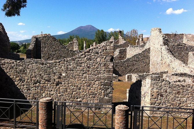 Pompeii - Private Historic Walking Tour - Meeting Point and End Point
