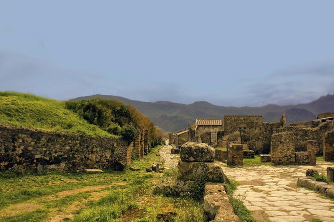 Pompeii - Private Historic Walking Tour - Booking and Availability