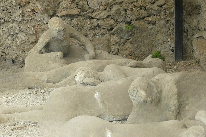 Pompeii Private Tour - Inclusions
