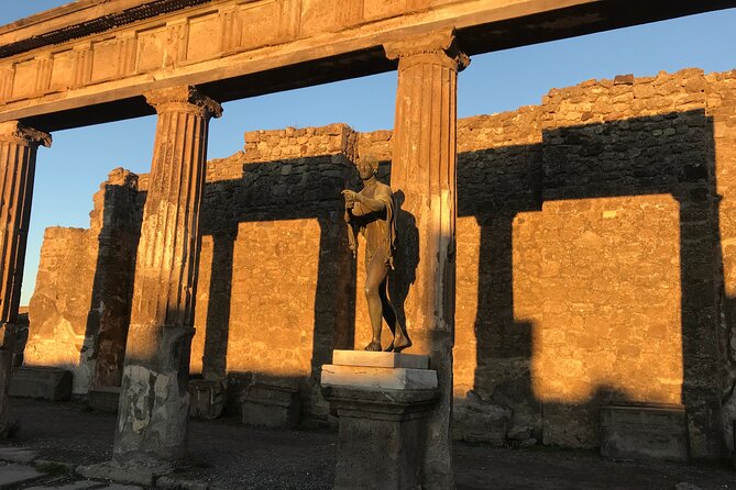 Pompeii Private Tour With Expert Local Guide - Accessibility and Requirements