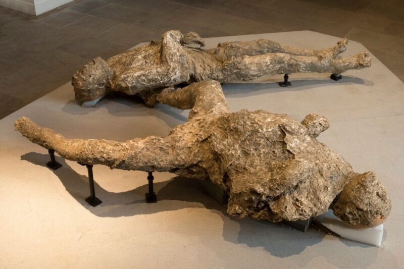 Pompeii: Private Tour With Hotel Pickup and Entry Ticket - Discovering Ancient Pompeii