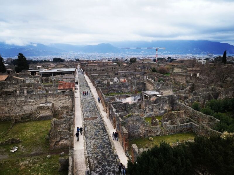 Pompeii: Private Tour With Local Guide Michele Arpa - Inclusions and Accessibility