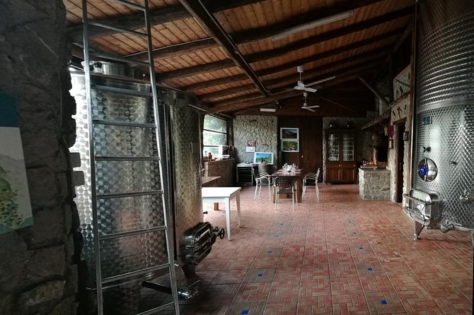 Pompeii Ruins and Wine Tasting - Taking in Pompeiis Archaeological Wonders