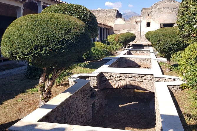 Pompeii Ruins and Wine Tasting - Savoring the Local Wines