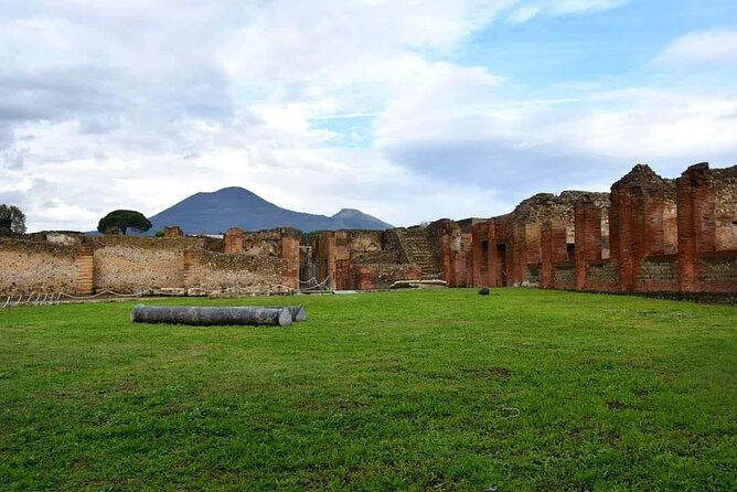 Pompeii Ruins and Wine Tour From Sorrento - Pricing and Packages Offered