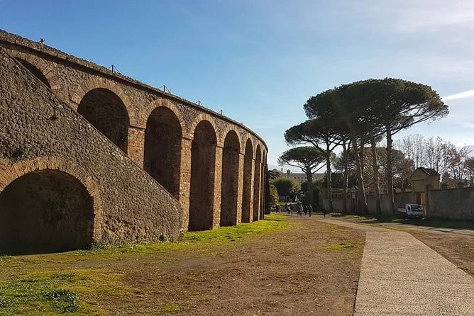 Pompeii Ruins: Day Trip From Naples With Skip the Line Ticket - Confirmation and Safety Measures