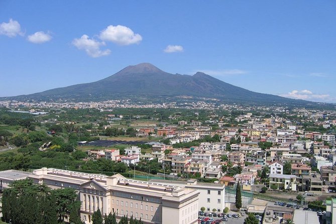 Pompeii Ruins, Positano and Sorrento Full Day Tour - Flexible Scheduling and Attention