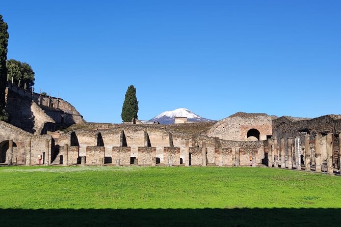 Pompeii Ruins Skip-The-Line Tour With Archaeologist - Booking Information and Pricing