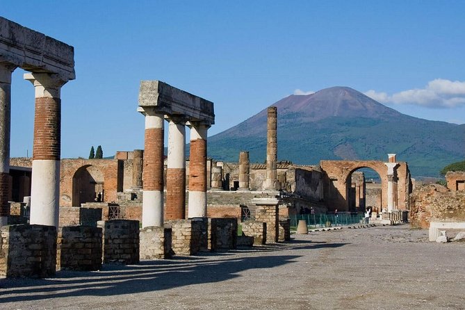 Pompeii Ruins & Wine Tasting With Lunch on Vesuvius With Private Transfer - Inclusions in the Package